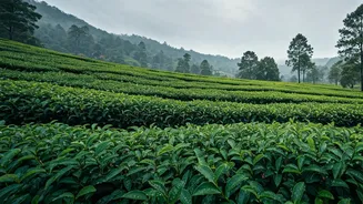 Travel Offbeat With These Hidden Monsoon Gems