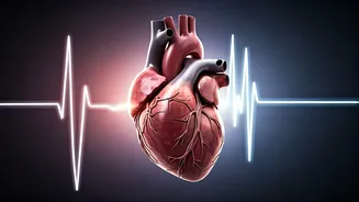 Unlock Better Heart Health: The 3-Hour Meal Rule for Enhanced Well-being