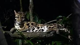 National Tourism Day 2026: Why 'Noctourism' Could Be India’s Next Big Travel Trend