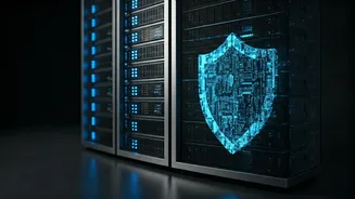 February Patch Blitz: Microsoft Fortifies Windows Against Emerging Cyber Threats