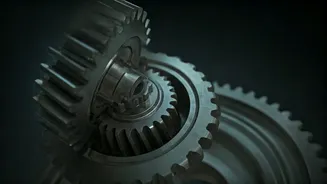 Ace the Interview: Why This Company?