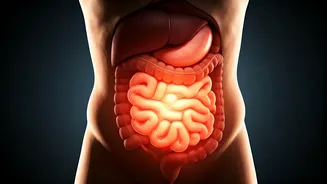 Related Stories banner