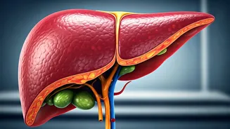 Is B12 Deficiency Hurting You? Know the Signs