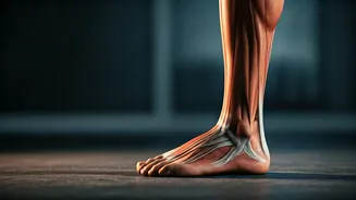 Correct Ankle Weakness Commencing Slow Single Leg Lift Challenges Now