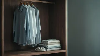 How To Prevent Mould And Musty Odours In Wardrobes During Rainy Weather