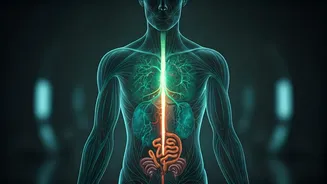 Over 35? Why Weight Gain Happens & How Chennai Trainers Advise You to Manage It