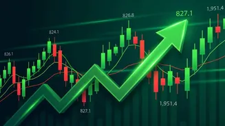 Sensex closes 600 points up: Key factors behind today's rally