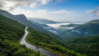How Route Tracking Helps You Navigate Overnight Monsoon Drives In Ghats
