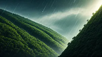Cherrapunji And Mawsynram Are Monsoon Main Characters