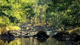 IRCTC Wildlife Tours From Mumbai Focus On Jungle Visits Rather Than City Tourism