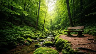 Peaceful Nature Escapes Are Everywhere Now