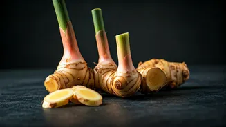 Galangal Brings A Sharp Twist To Asian Cooking