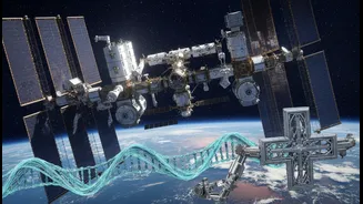 What Anil Menon's Upcoming ISS Mission Could Change for Indian Readers