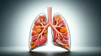 Eat These Foods to Protect Your Lungs