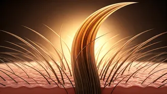 Expert-Approved Ways To Boost Hair Density