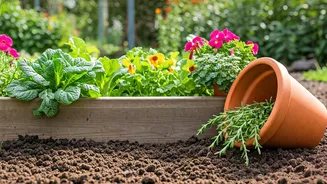 Simple Drainage Fixes: Raised Beds And Clever Tilted Pots
