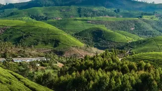 Offbeat Chikmagalur Drives: Scenic Monsoon Routes And Lush Plantation Homestays