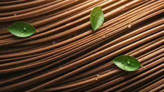 Summer Hair Care Decoded: Busting Myths & Finding Your Perfect Wash Routine