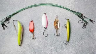 Deposit-Safe Hooks Need Correct Weight Limits and Careful Removal