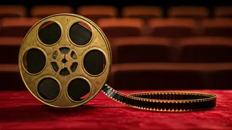 Dhurandhar's Box Office Run: Week 7 Performance