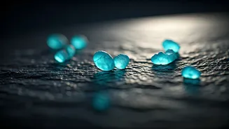 How Microplastics Crept Into Your Kitchen Salt And Tea