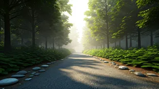 The Run To Meditate Trend Merges Brisk Walking With Meditation