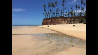 Você conhece a primeira praia do Brasil? Lugar é cercado por falésias