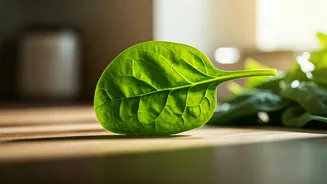 Spinach Savvy: Unlocking Its Health Secrets While Dodging Raw Risks