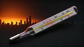 Chandigarh Heat Study: Temperature Threshold Sparks Mortality Rise