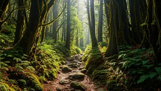 Ditch Crowded Coorg Escape To Unexplored Wilderness Tracks In Kudremukh