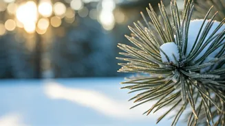 10 Winter Habits for Inner Strength