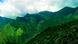 Why Monsoon Season Is The Best Time For Plantation Stays In Chikmagalur