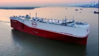 Porto de Itajaí monta esquema de 24 horas para receber 11,7 mil carros da BYD