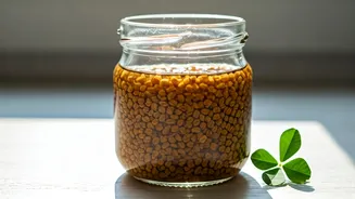 Overnight Soaked Fenugreek Water Naturally Eliminates Terrible Afternoon Fatigue