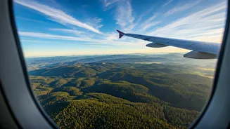 Lower Fares And Green Views Are Winning June