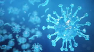 H1N1 cases rise sharply in Nagpur after first swine flu death; Older adults, children face higher risk