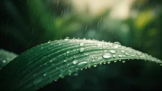 Monsoon Holidays Are Suddenly Looking Like A Smart Deal