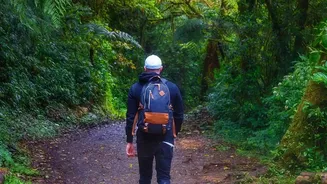 Western Ghats Monsoon Trekking Guidelines: Eco-Friendly Rules And Safety Gear Checklist