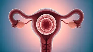 Unveiling Pregnancy Myths: What Science Says About Conception