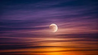 Related Stories banner