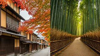 Kyoto's Top 10 Neighborhoods: A Journey Through Tradition and Charm