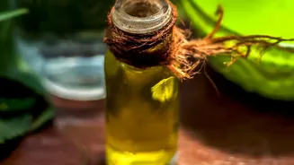 How To Protect Delicate Houseplant Leaves From Pests Using Gentle Natural Neem Oil Spray Hacks Today