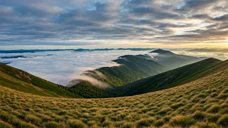 Forget The City, Chase The Clouds Instead