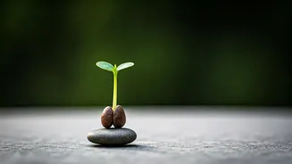 Your Next Habit Starts Here