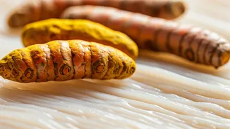 Turmeric's Turf: Does It Boost Cartilage Health?