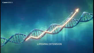 What implications semaglutide anti-aging capabilities have for future healthy human lifespan development