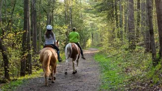 Planning a horseback safari? Visit this destination