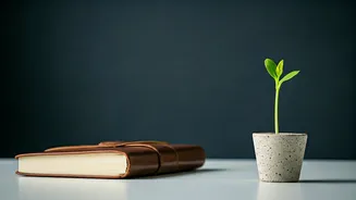First-Job Gratitude Has Entered The Feed
