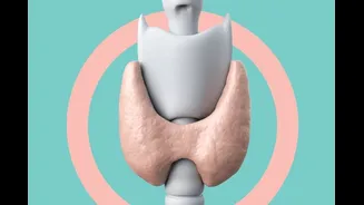 Do exame ao tratamento: o que mudou no cuidado com a tireoide