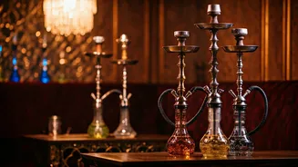 Nora Fatehi's Journey: From Hookah Bar to Bollywood Stardom